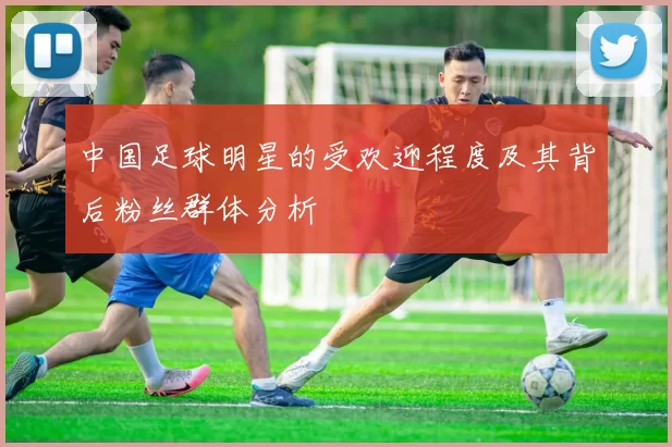 中国足球明星的受欢迎程度及其背后粉丝群体分析