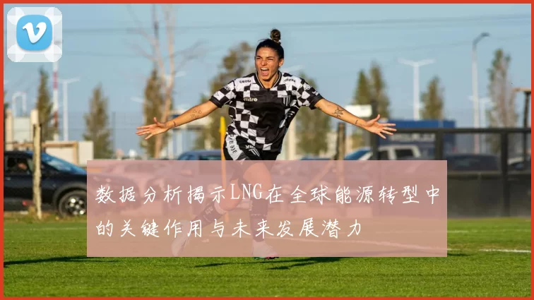 数据分析揭示LNG在全球能源转型中的关键作用与未来发展潜力