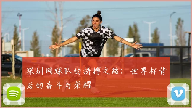 深圳网球队的拼搏之路：世界杯背后的奋斗与荣耀