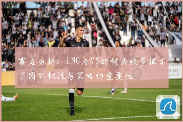 赛后分析：LNG与V5的耐力较量揭示了团队韧性与策略的重要性
