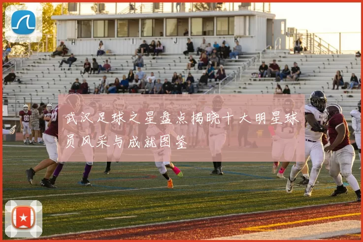 武汉足球之星盘点揭晓十大明星球员风采与成就图鉴