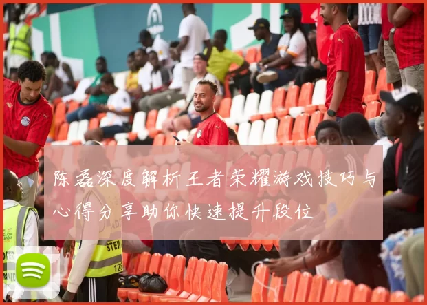 陈磊深度解析王者荣耀游戏技巧与心得分享助你快速提升段位