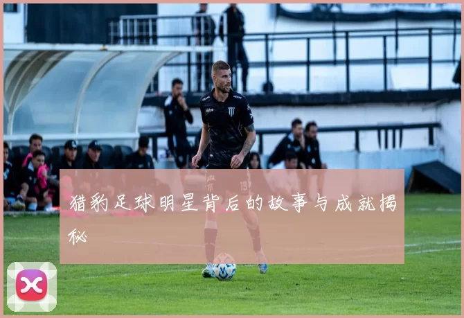 猎豹足球明星背后的故事与成就揭秘