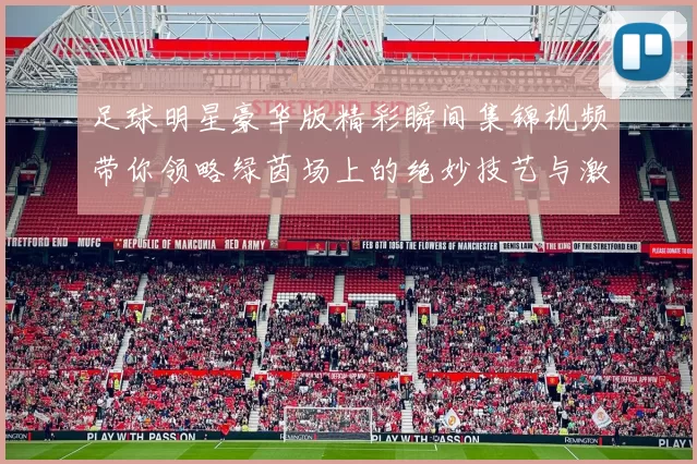足球明星豪华版精彩瞬间集锦视频带你领略绿茵场上的绝妙技艺与激情时刻