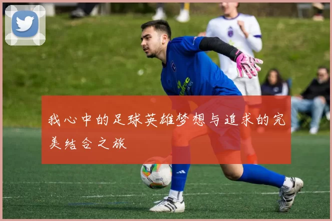 我心中的足球英雄梦想与追求的完美结合之旅
