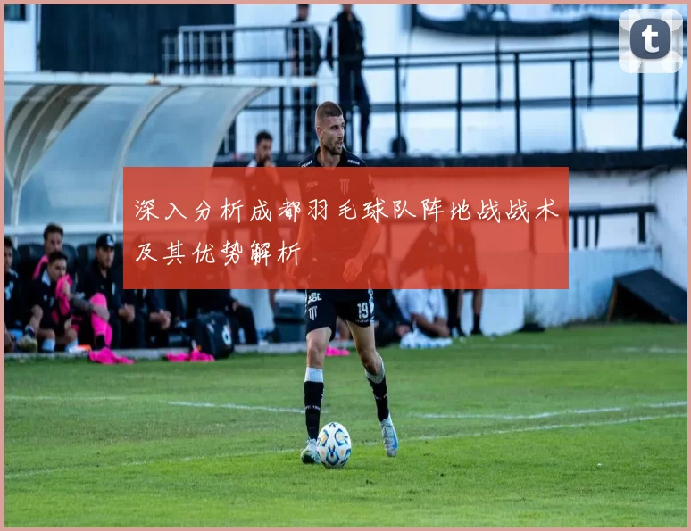 深入分析成都羽毛球队阵地战战术及其优势解析