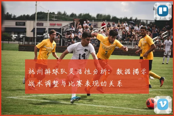 杭州排球队灵活性分析：数据揭示战术调整与比赛表现的关系