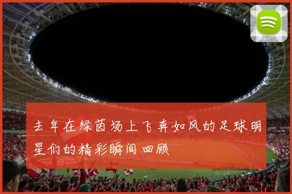 去年在绿茵场上飞奔如风的足球明星们的精彩瞬间回顾