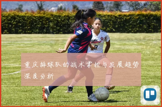 重庆排球队的战术掌控与发展趋势深度分析