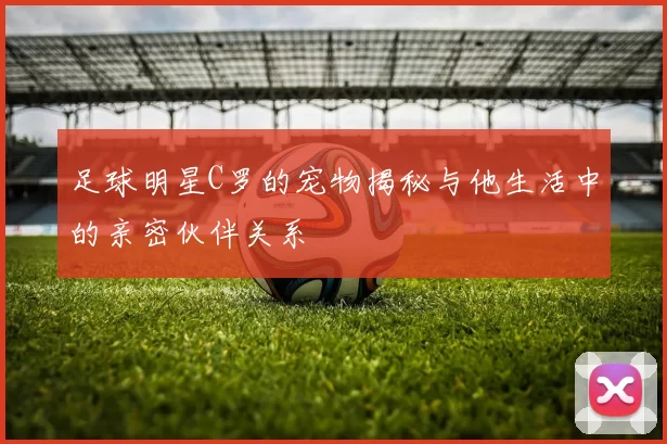 足球明星C罗的宠物揭秘与他生活中的亲密伙伴关系