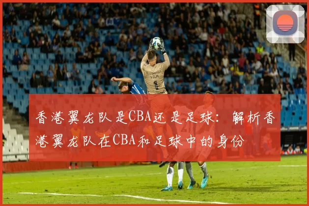 香港翼龙队是CBA还是足球：解析香港翼龙队在CBA和足球中的身份