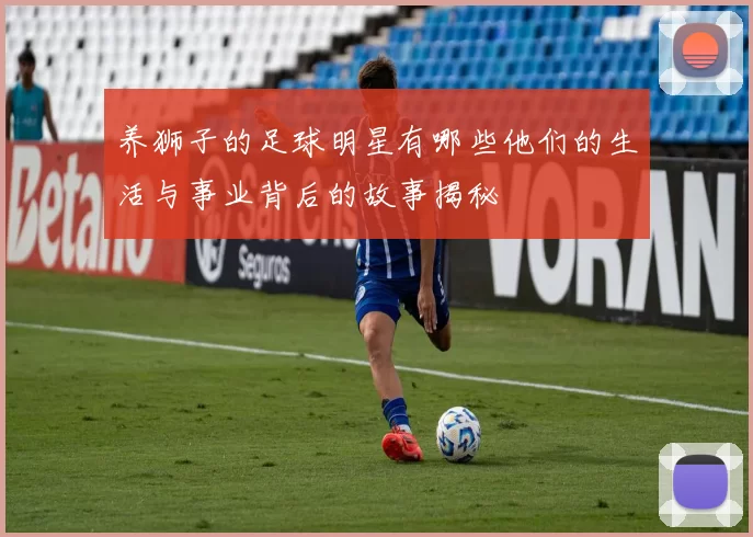 养狮子的足球明星有哪些他们的生活与事业背后的故事揭秘