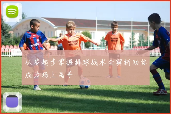 从零起步掌握排球战术全解析助你成为场上高手