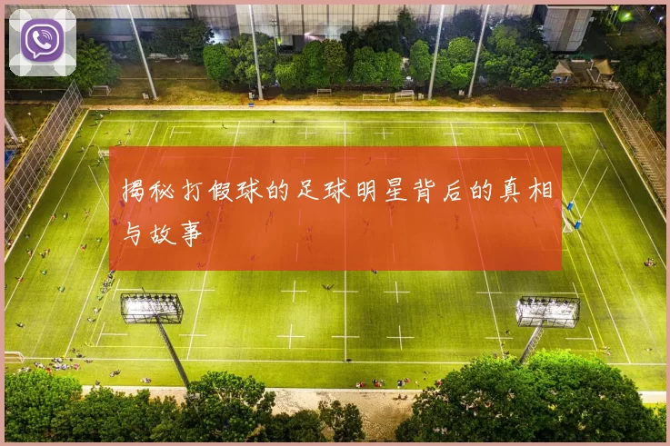 揭秘打假球的足球明星背后的真相与故事