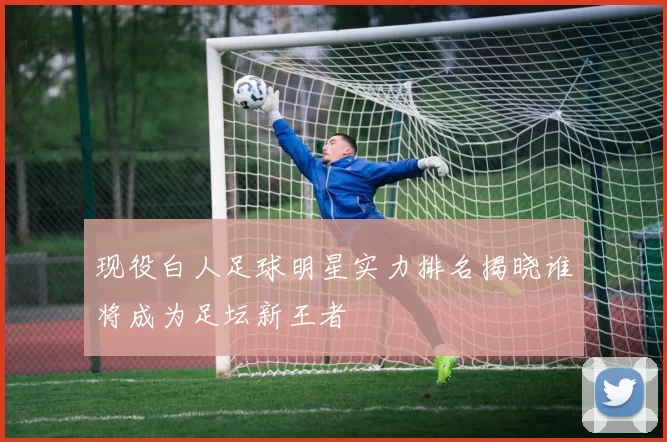 现役白人足球明星实力排名揭晓谁将成为足坛新王者