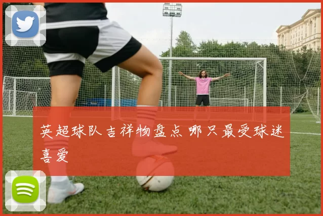 英超球队吉祥物盘点 哪只最受球迷喜爱