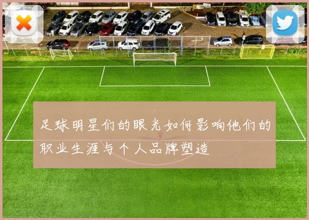 足球明星们的眼光如何影响他们的职业生涯与个人品牌塑造