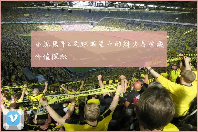 小浣熊甲a足球明星卡的魅力与收藏价值探秘