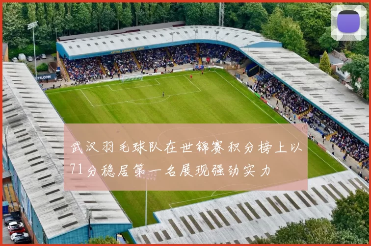 武汉羽毛球队在世锦赛积分榜上以71分稳居第一名展现强劲实力