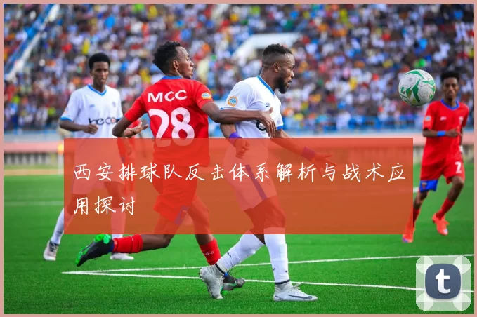 西安排球队反击体系解析与战术应用探讨
