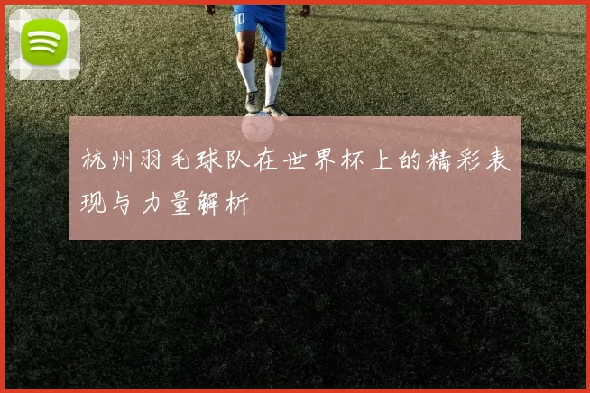 杭州羽毛球队在世界杯上的精彩表现与力量解析