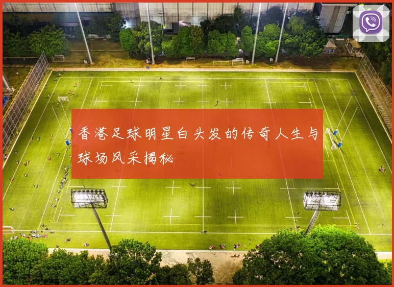 香港足球明星白头发的传奇人生与球场风采揭秘