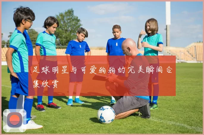 足球明星与可爱狗狗的完美瞬间合集欣赏