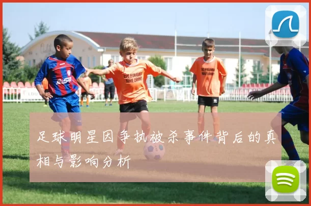足球明星因争执被杀事件背后的真相与影响分析
