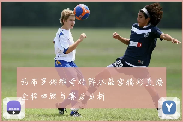 西布罗姆维奇对阵水晶宫精彩直播全程回顾与赛后分析