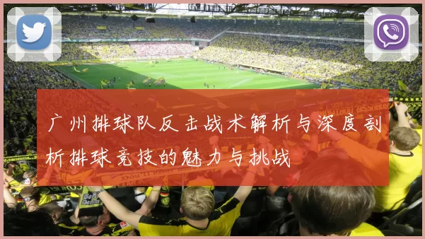 广州排球队反击战术解析与深度剖析排球竞技的魅力与挑战