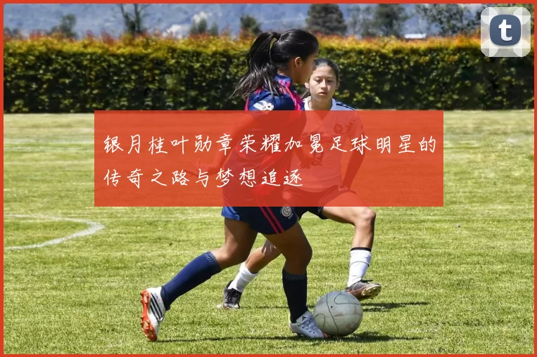 银月桂叶勋章荣耀加冕足球明星的传奇之路与梦想追逐