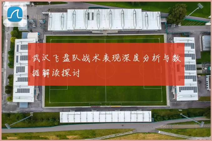 武汉飞盘队战术表现深度分析与数据解读探讨