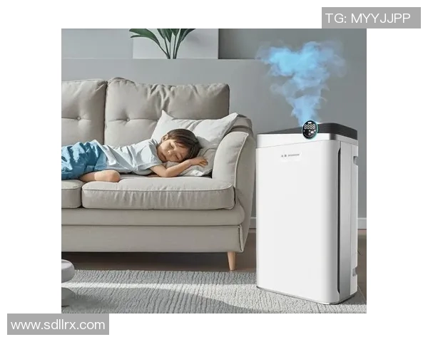 提升居家空气质量选择最佳空气净化器的全面指南与使用技巧